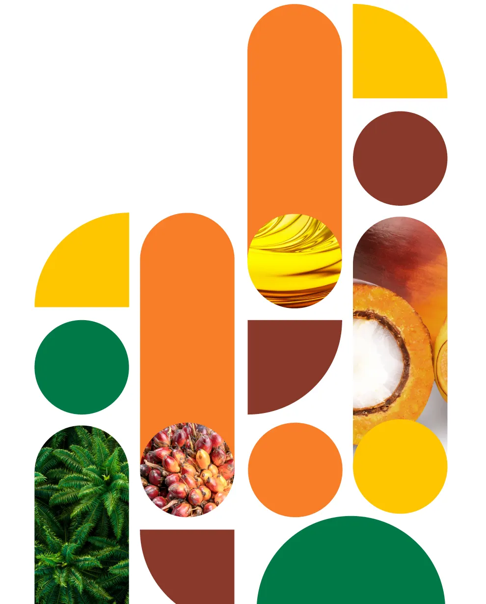 Arte evento Abrapalma